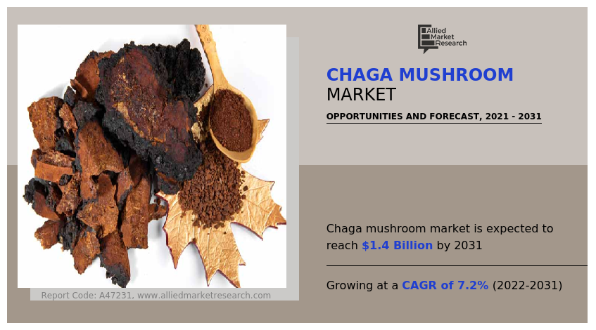 Chaga Mushroom Market
