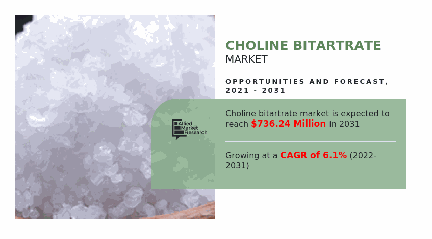 Choline Bitartrate Market, Choline Bitartrate Industry, Choline Bitartrate Market Size, Choline Bitartrate Market Share, Choline Bitartrate Market Analysis, Choline Bitartrate Market Trend, Choline Bitartrate Market Growth, Choline Bitartrate Market Forecast