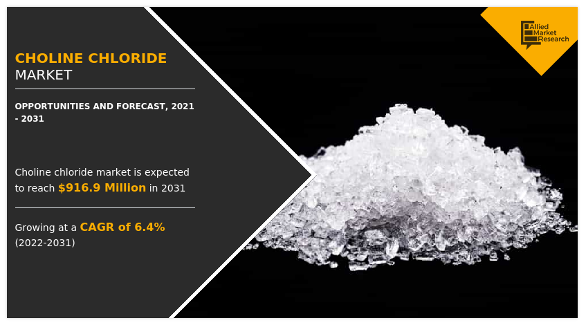 Choline Chloride Market Siz, Share, Analysis Report 2031