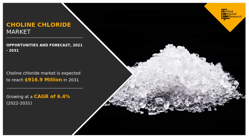 Choline Chloride Market, Choline Chloride Industry, Choline Chloride Market Size, Choline Chloride Market Share, Choline Chloride Market Analysis, Choline Chloride Market Trend, Choline Chloride Market Forecast, Choline Chloride Market Growth