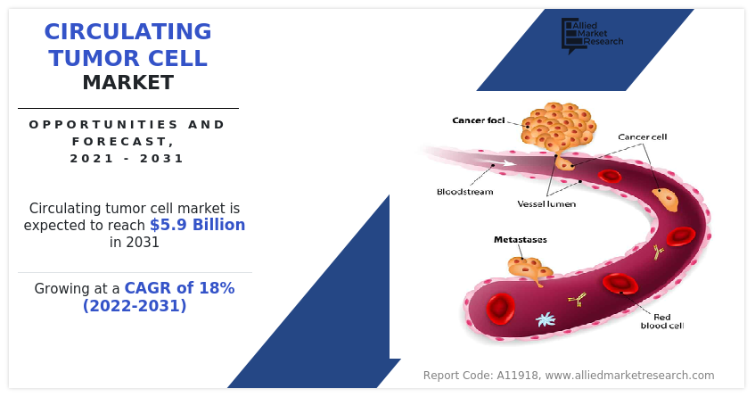 Circulating Tumor Cell Market