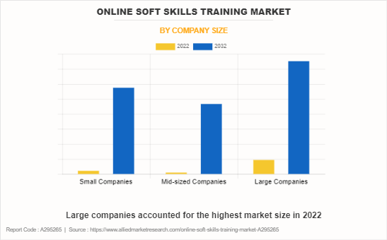 Online Soft Skills Training Market by Company Size