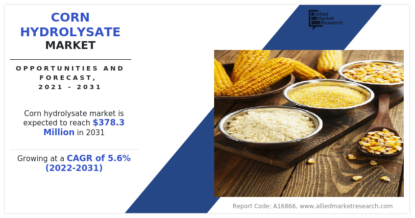 Corn hydrolysate Market