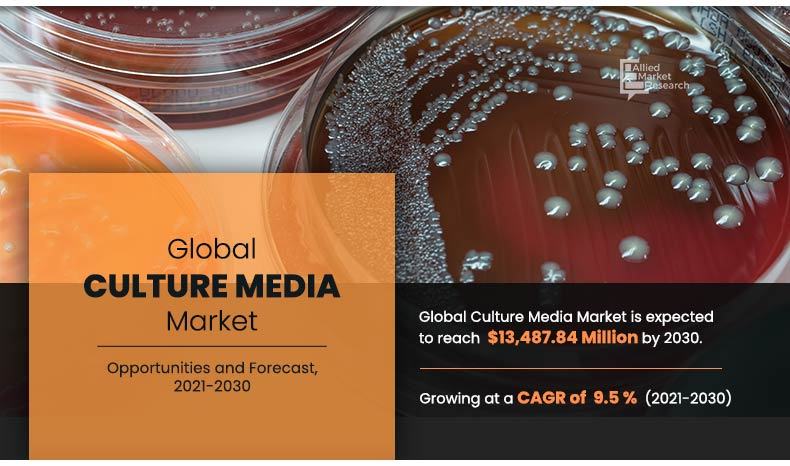 Culture-Media-Market	