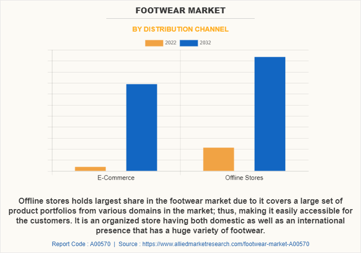 Footwear Market by Distribution Channel