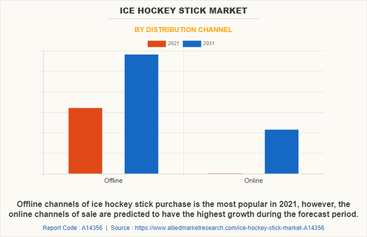 Ice Hockey Stick Market by Distribution Channel