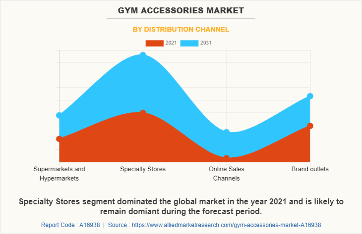 Gym Accessories Market by Distribution Channel
