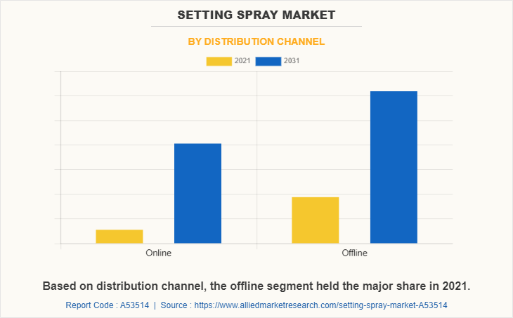 Setting Spray Market by Distribution Channel
