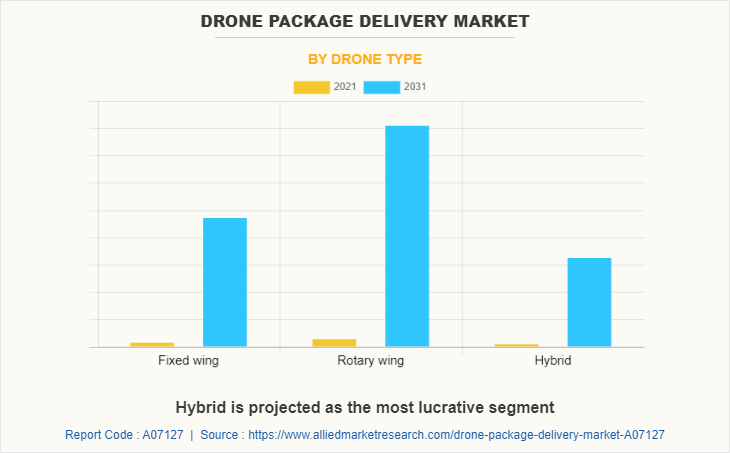 Drone Package Delivery Market by Drone Type