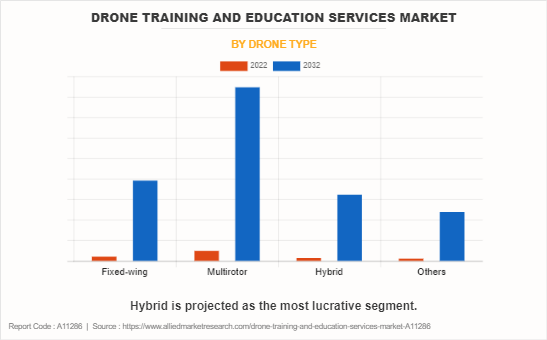 Drone Training and Education Services Market by Drone Type