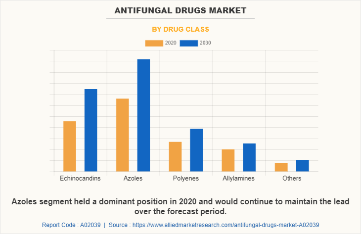 Antifungal Drugs Market by Drug Class