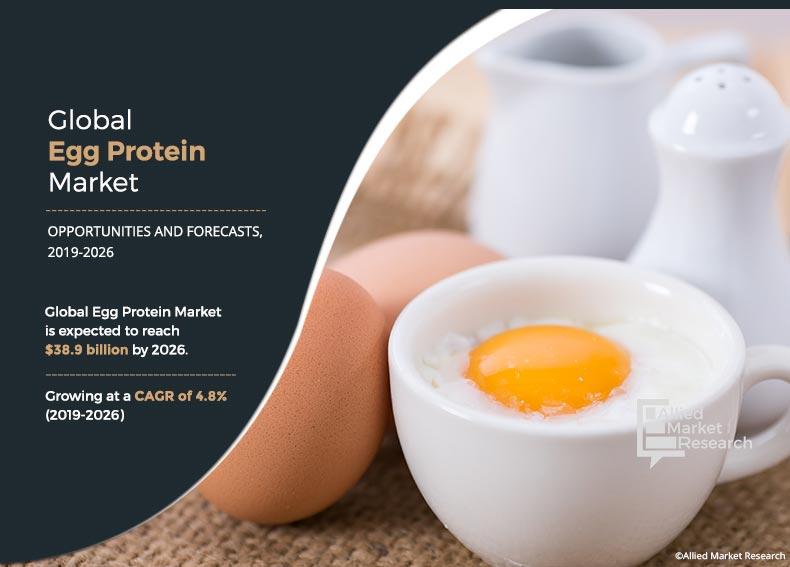 Egg Protein Market 2019-2026