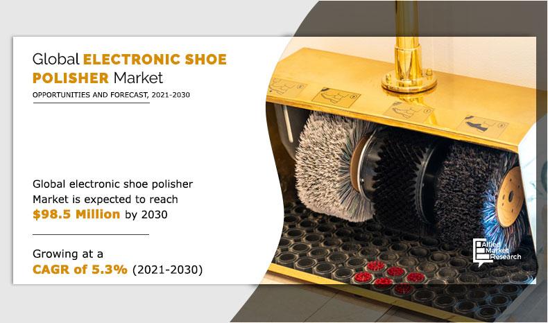 Electric Shoe Polisher Market	