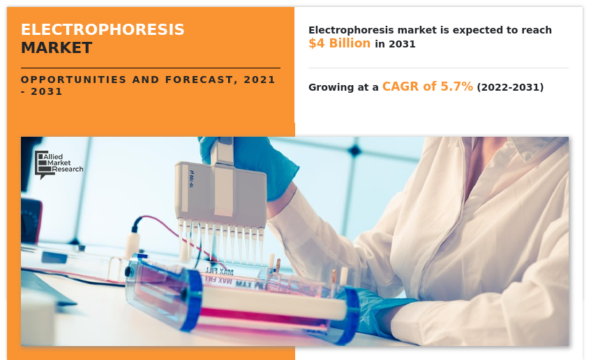 Electrophoresis Market, Electrophoresis Market size, Electrophoresis Market share, Electrophoresis Market trends, Electrophoresis Market growth, Electrophoresis Market analysis, Electrophoresis Market forecast, Electrophoresis Market opportunity