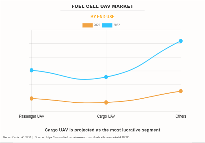 Fuel Cell UAV Market by End Use