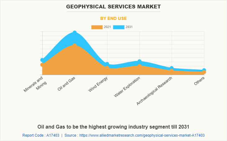 Geophysical Services Market by End Use