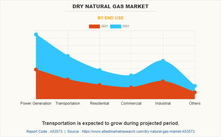 Dry Natural Gas Market by End Use
