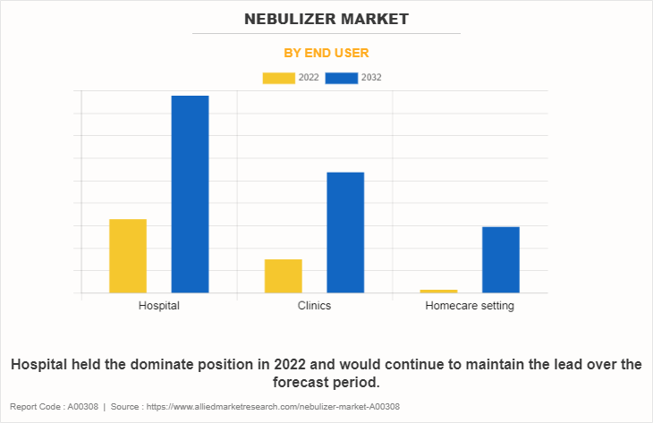 Nebulizer Market by End User