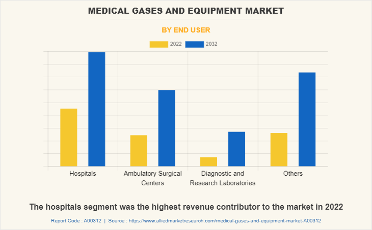 Medical Gases and Equipment Market by End User