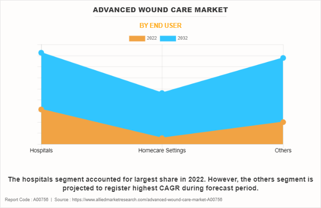 Advanced Wound Care Market by End User