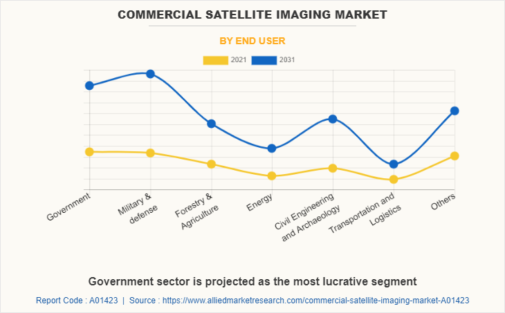 Commercial Satellite Imaging Market by End User