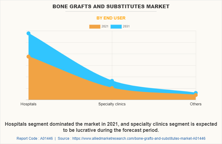 Bone Grafts and Substitutes Market by End user