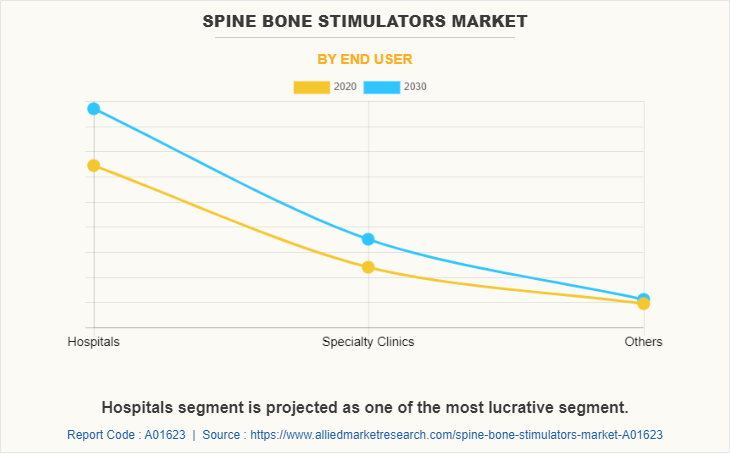 Spine Bone Stimulators Market by End User