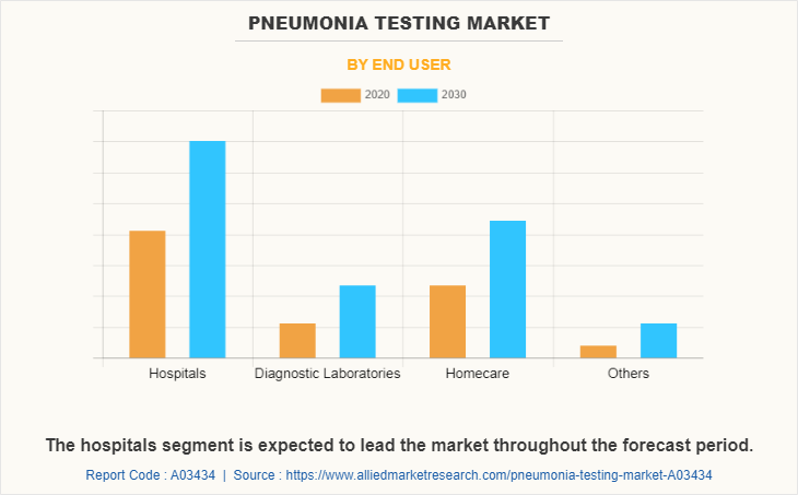 Pneumonia Testing Market by End User