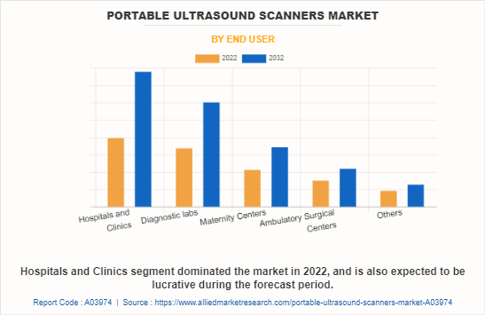 Portable Ultrasound Scanners Market by End User