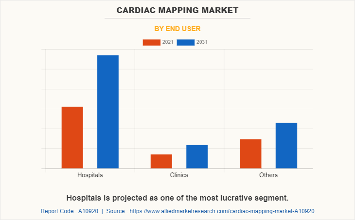 Cardiac Mapping Market by End User
