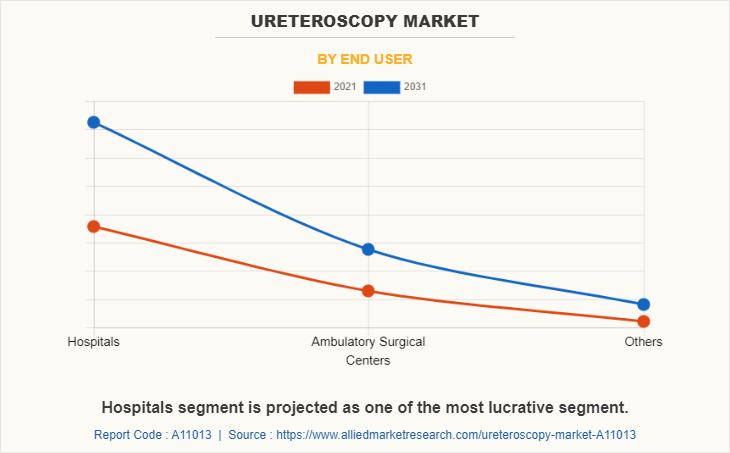 Ureteroscopy Market by End User