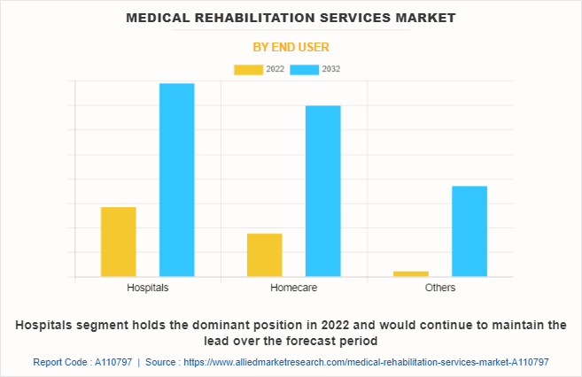 Medical Rehabilitation Services Market by End User
