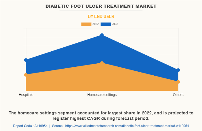Diabetic Foot Ulcer Treatment Market by End user