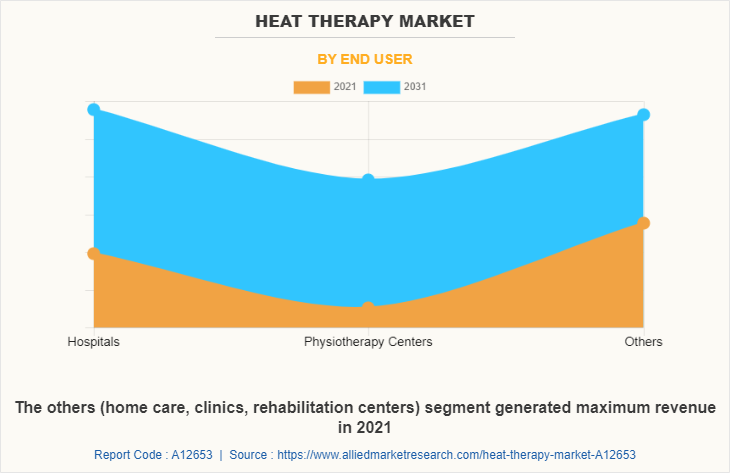 Heat Therapy Market by End User
