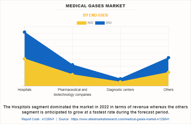 Medical Gases Market by End User