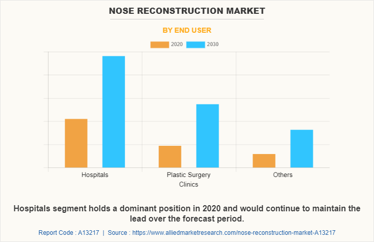 Nose Reconstruction Market by End User