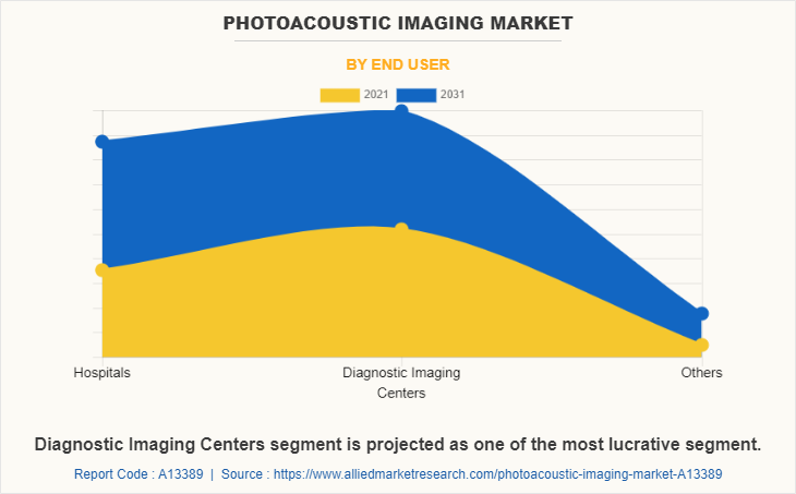 Photoacoustic Imaging Market by End User