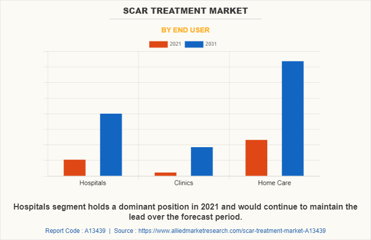 Scar Treatment Market by End User