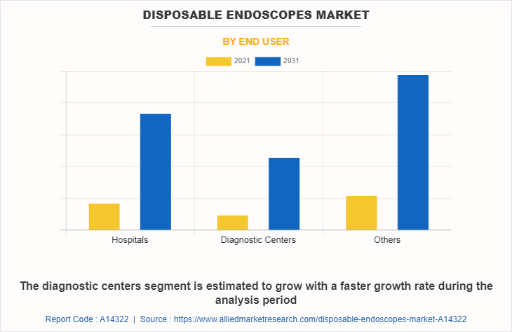 Disposable Endoscopes Market by End User