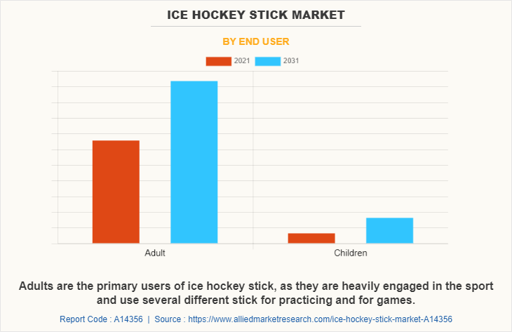 Ice Hockey Stick Market by End User