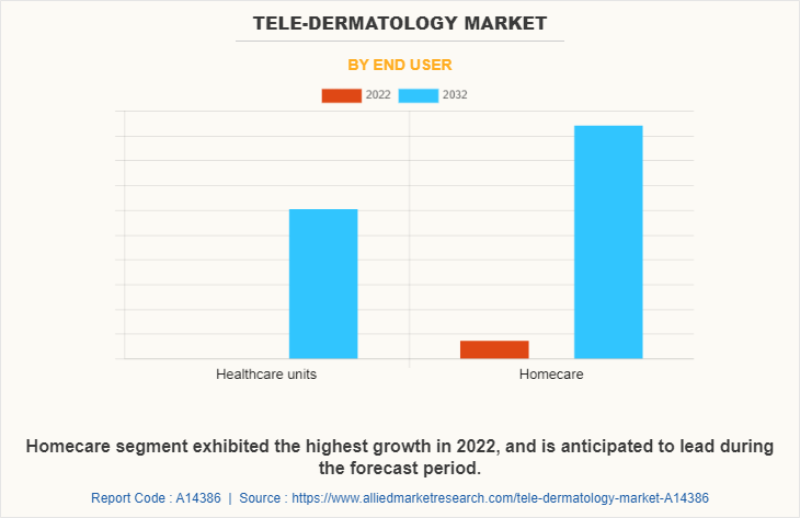 Teledermatology Market by End User