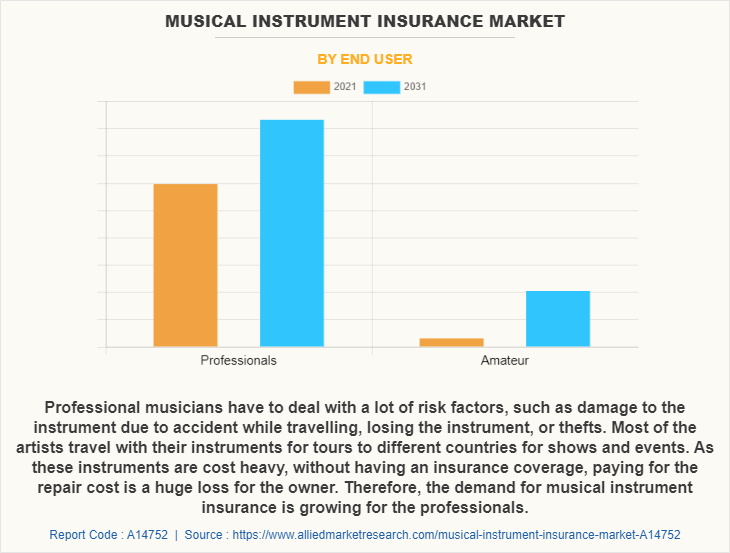 Musical Instrument Insurance Market by End User