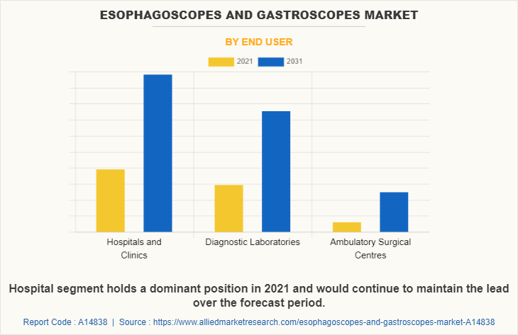 Esophagoscopes and Gastroscopes Market by End User