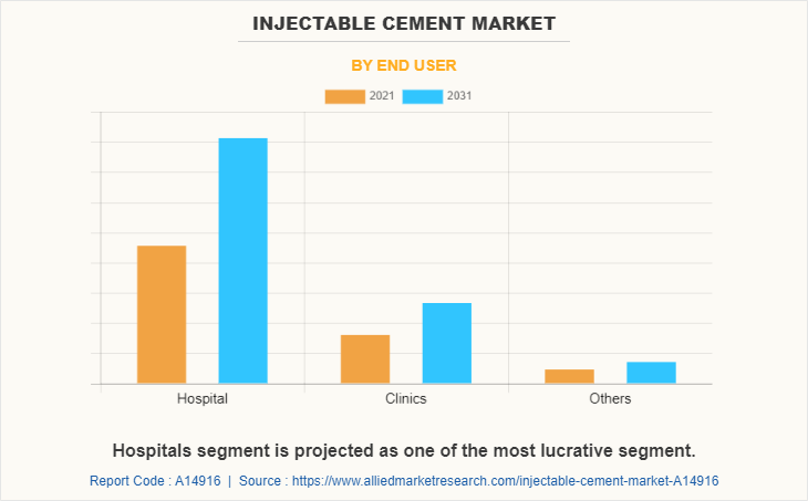 Injectable Cement Market by End User