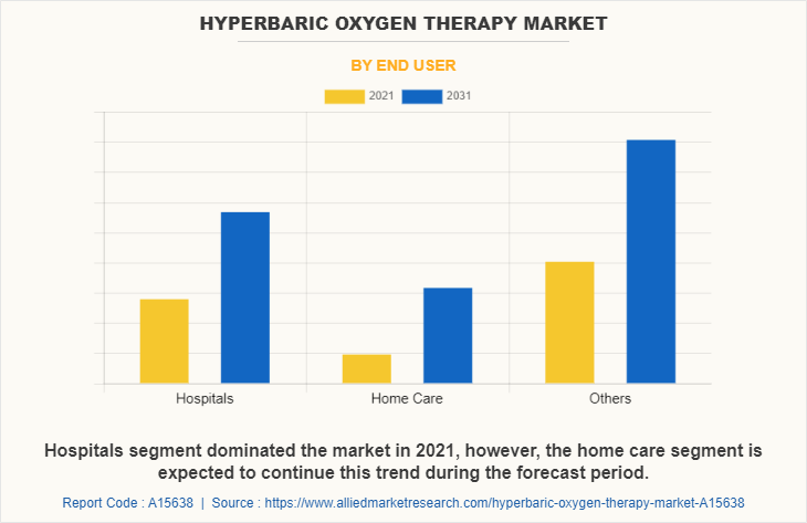 Hyperbaric Oxygen Therapy Market by End User