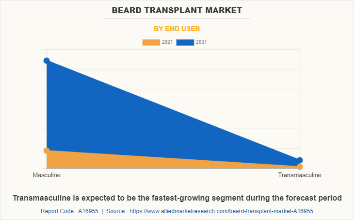 Beard Transplant Market by End User