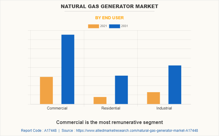 Natural Gas Generator Market by End User