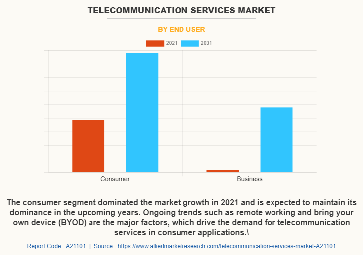 Telecommunication Services Market by End User