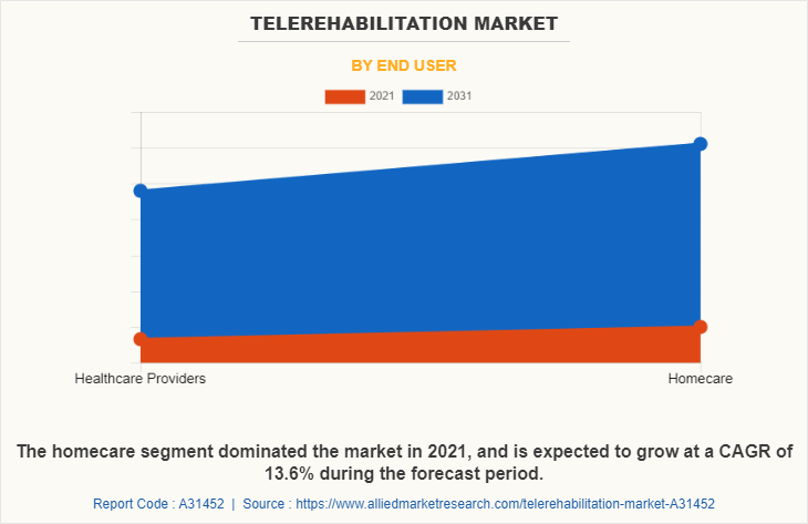 Telerehabilitation Market by End User