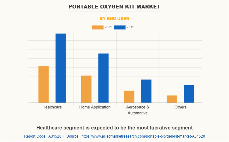 Portable Oxygen Kit Market by End User